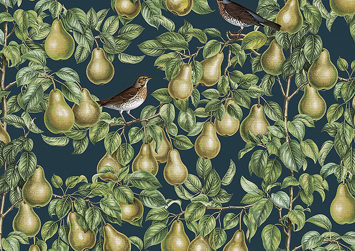 Pears, Silent Night - Roman Blind - Image 7